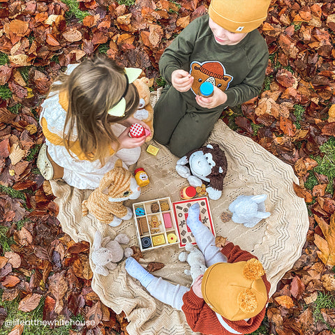 BigJig Toys - Box of Biscuits